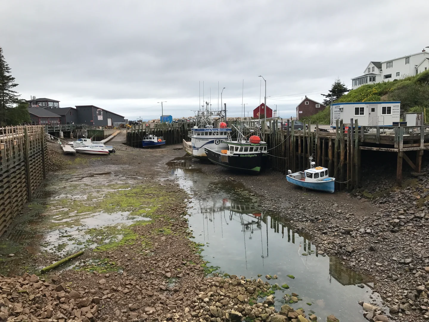 Tidal changes Halls Harbour