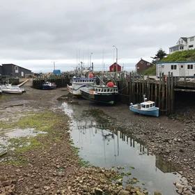 Tidal changes Halls Harbour