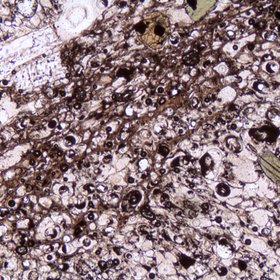 A thin section in pumice extrusive/volcanic igneous rock