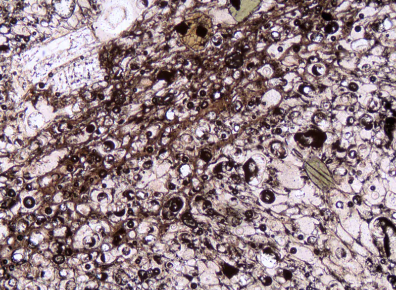 A thin section in pumice extrusive/volcanic igneous rock