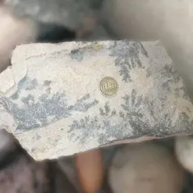 A specimen shows manganese dendrites