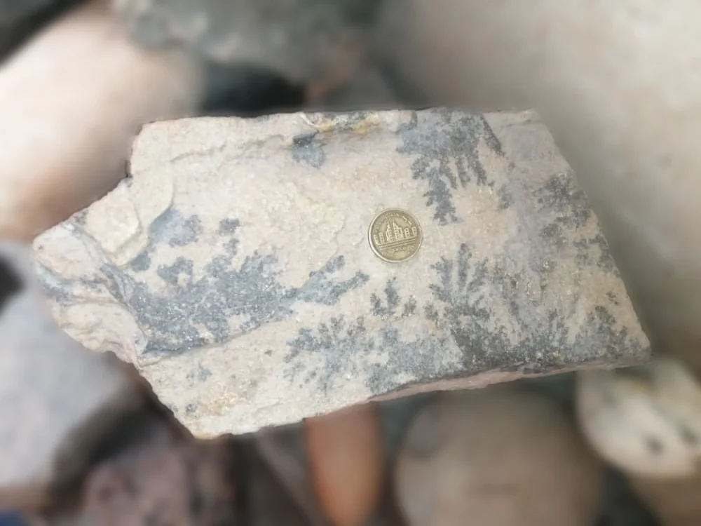 A specimen shows manganese dendrites