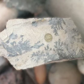 A specimen shows manganese dendrites