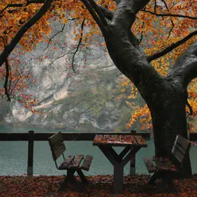 ° Table for Two, Out in the Autumn °