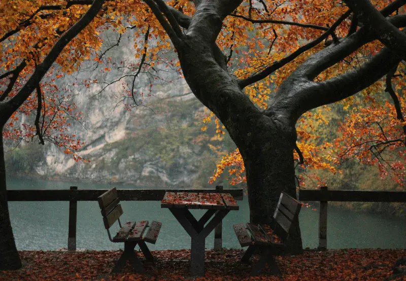 ° Table for Two, Out in the Autumn °