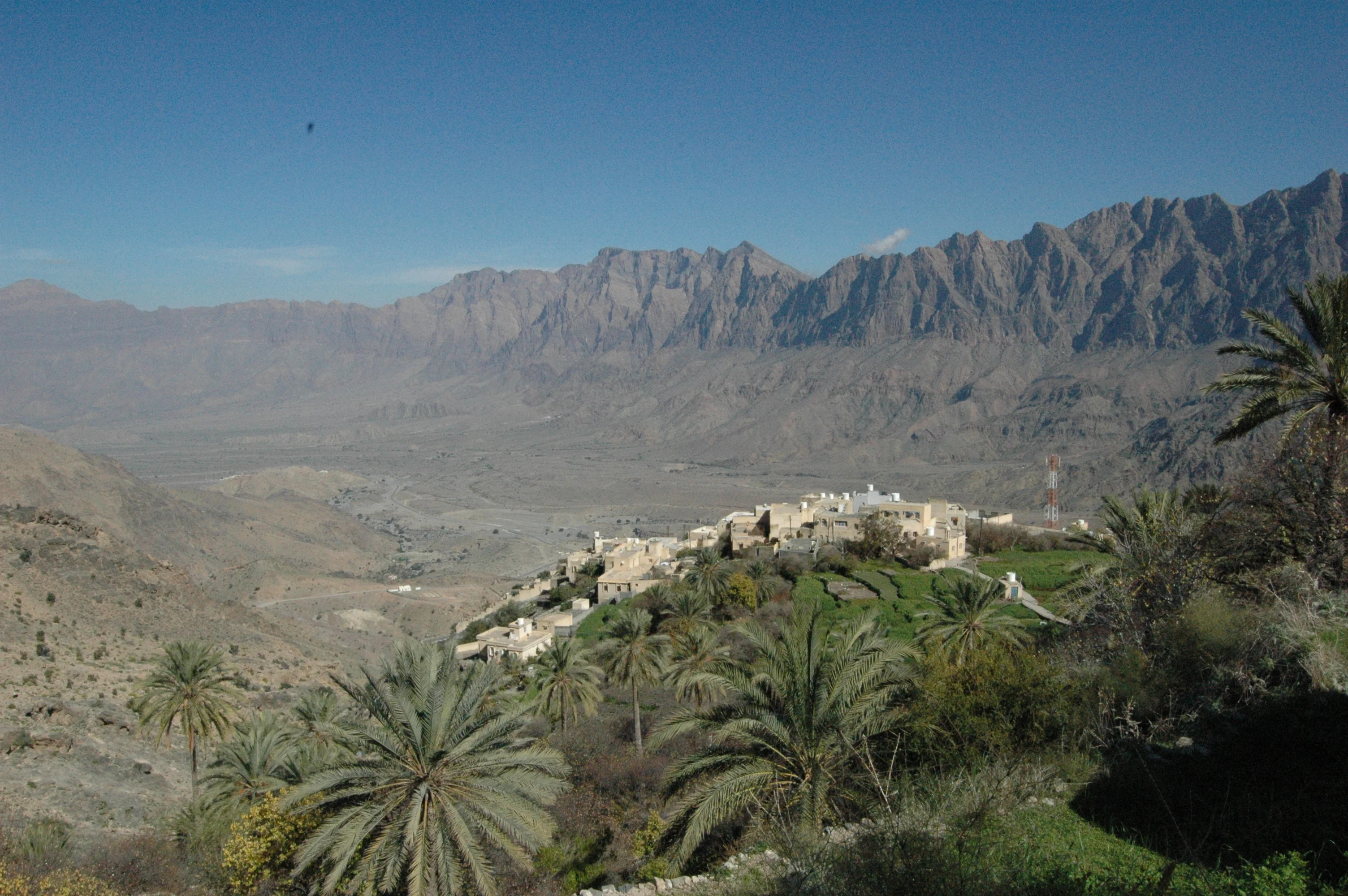 Mountain Oasis - Oman