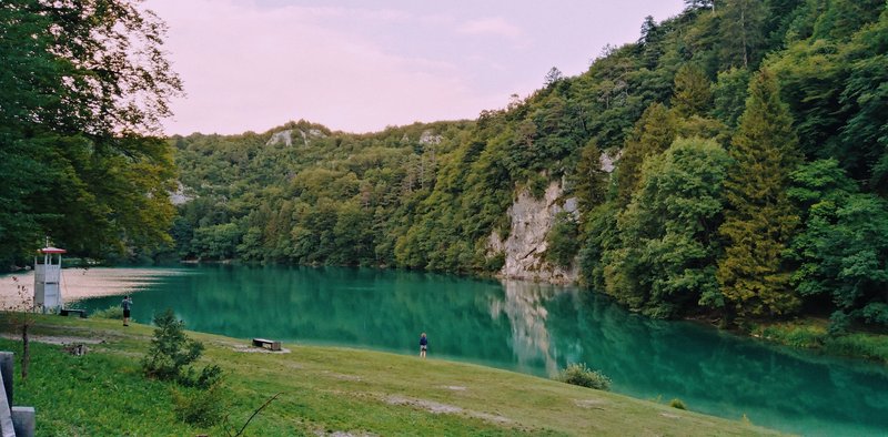 ° Reflection in the Green Water °