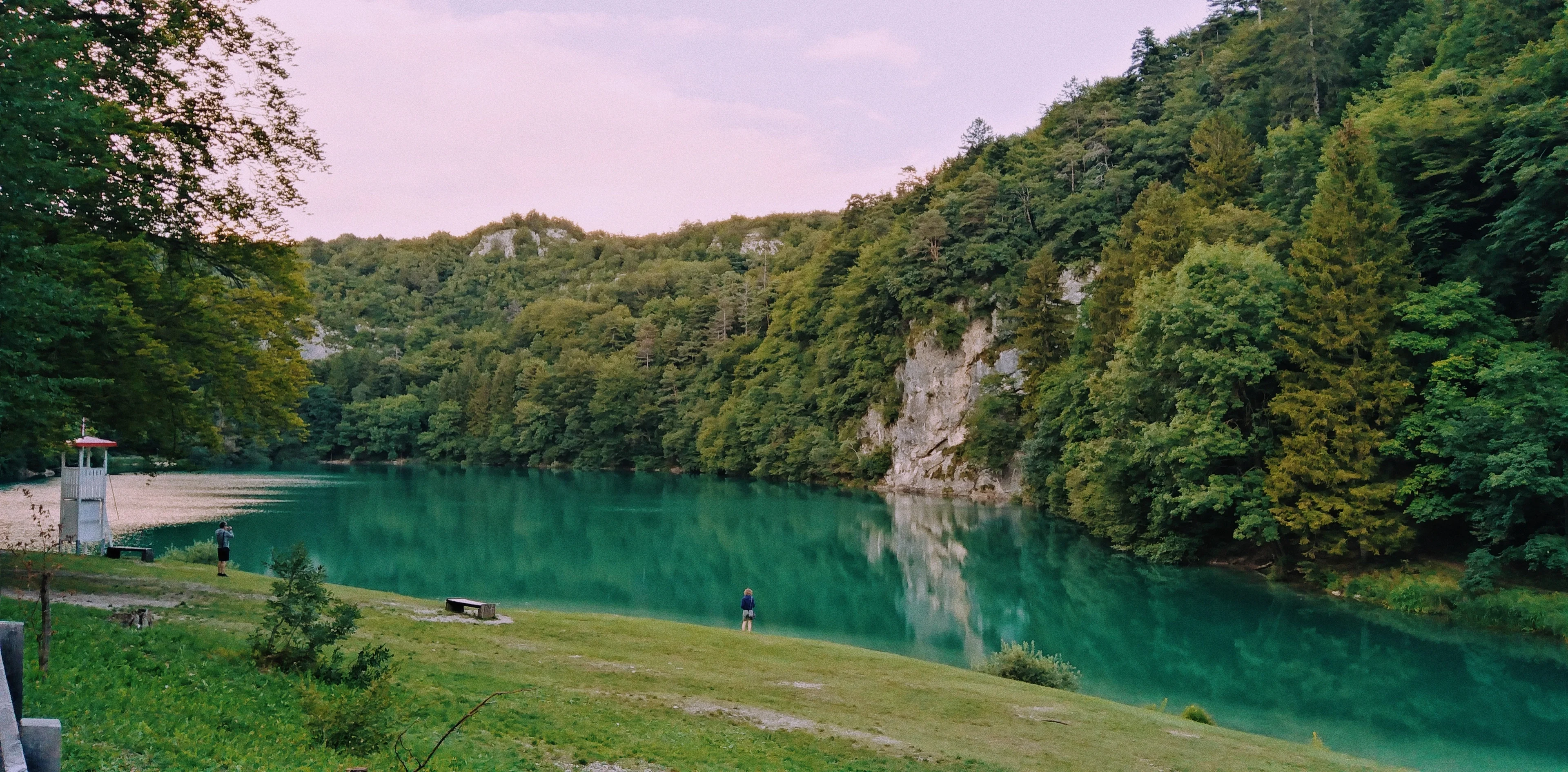 ° Reflection in the Green Water °