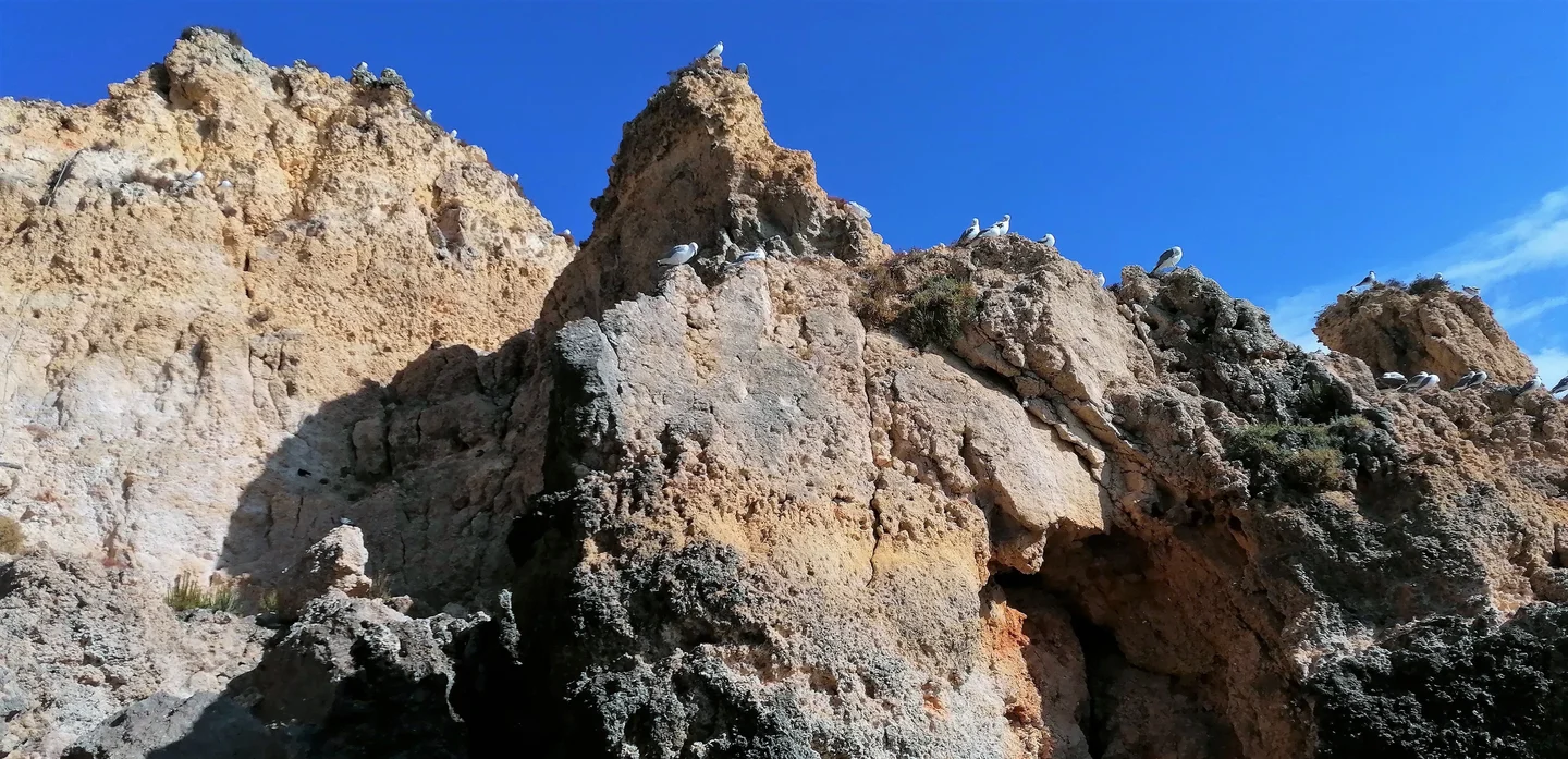 Front row spectators of geomorphological modeling