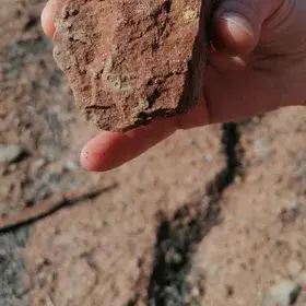 Detail of mica specks on the surface of a stone
