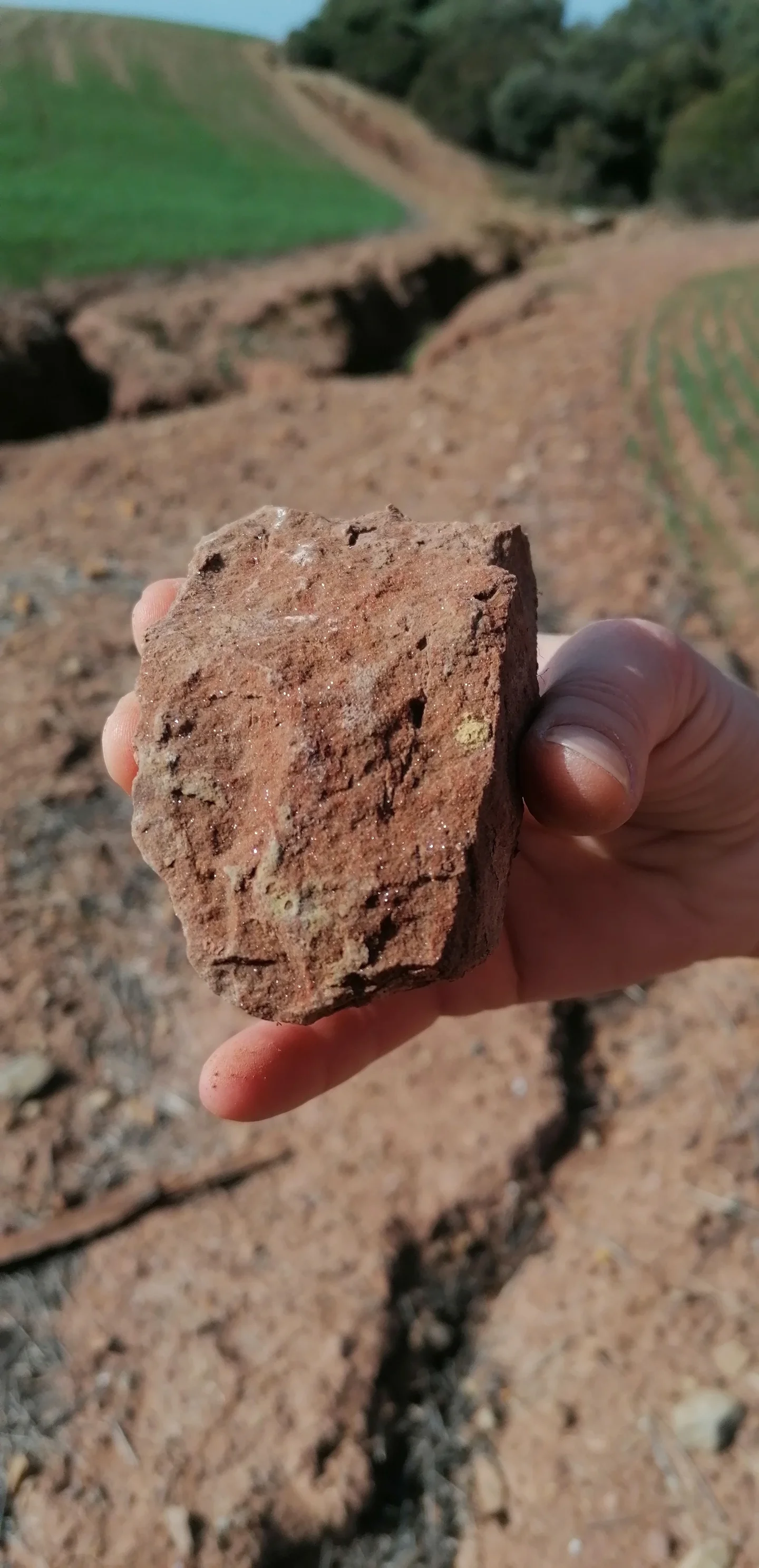 Detail of mica specks on the surface of a stone