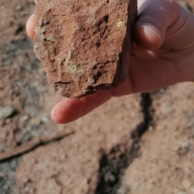 Detail of mica specks on the surface of a stone