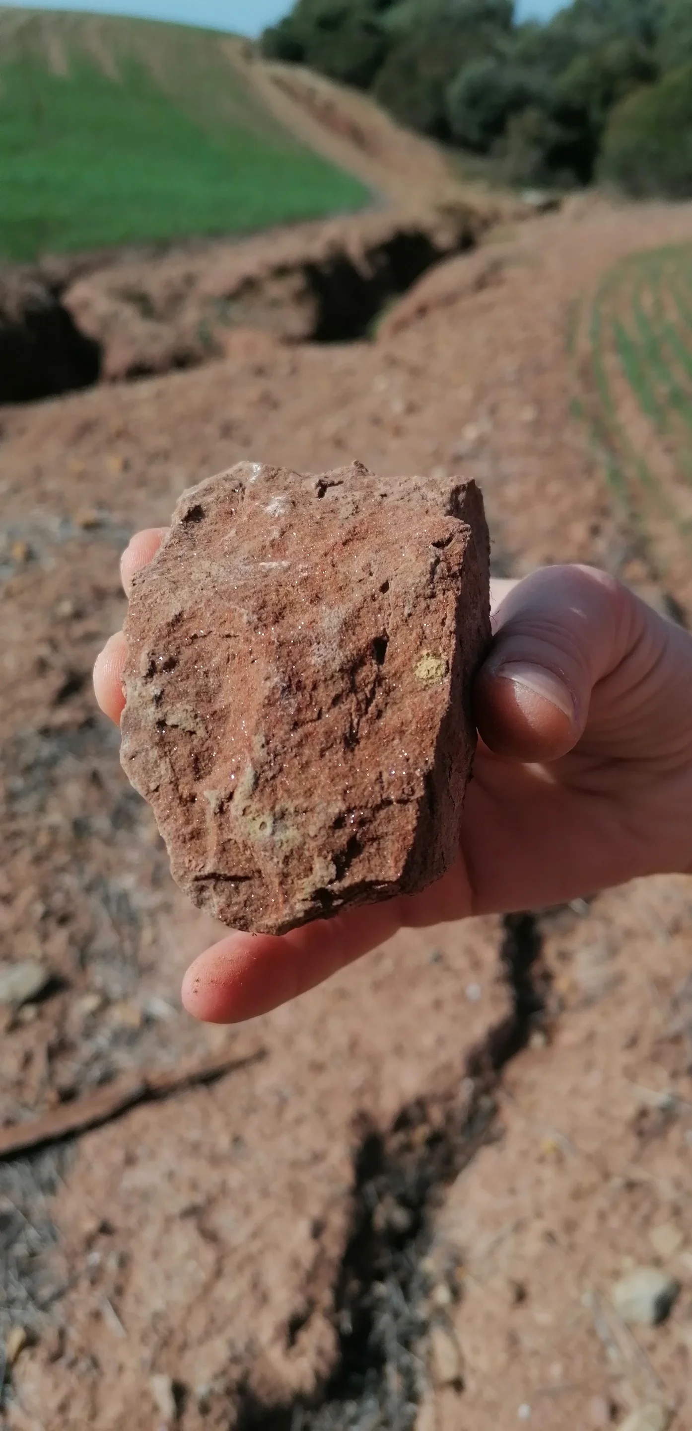 Detail of mica specks on the surface of a stone