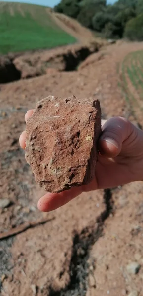 Detail of mica specks on the surface of a stone