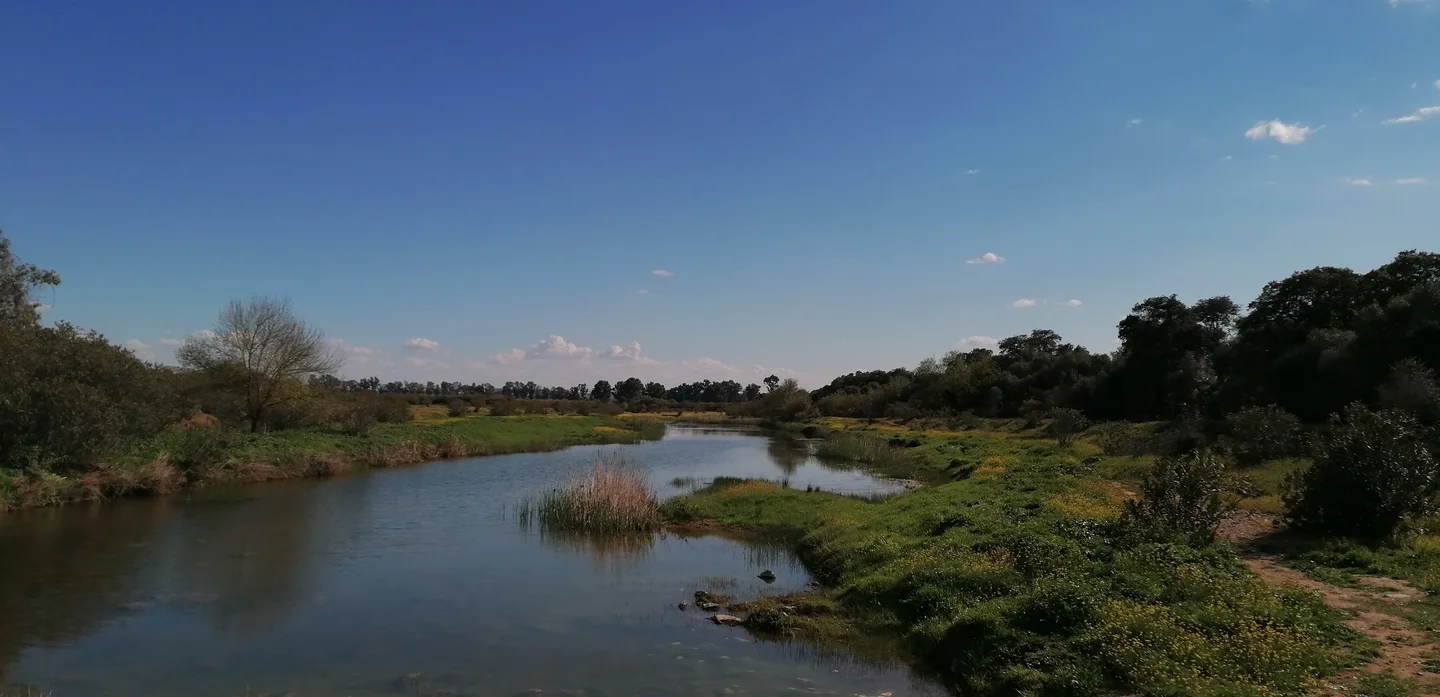 Terraces on the Guadiamar River
