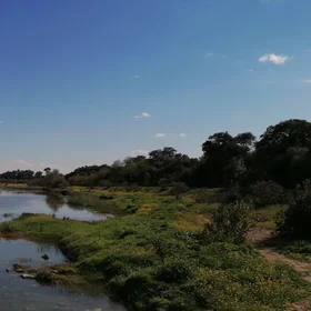 Terraces on the Guadiamar River