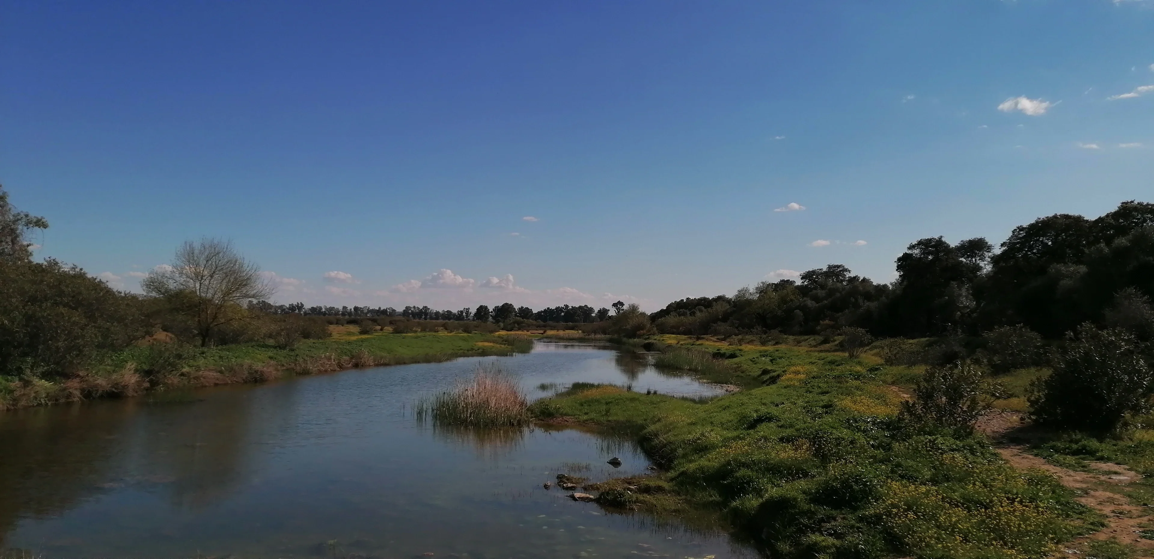 Terraces on the Guadiamar River