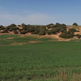 Natural vegetation on eroded areas that cannot be cultivated