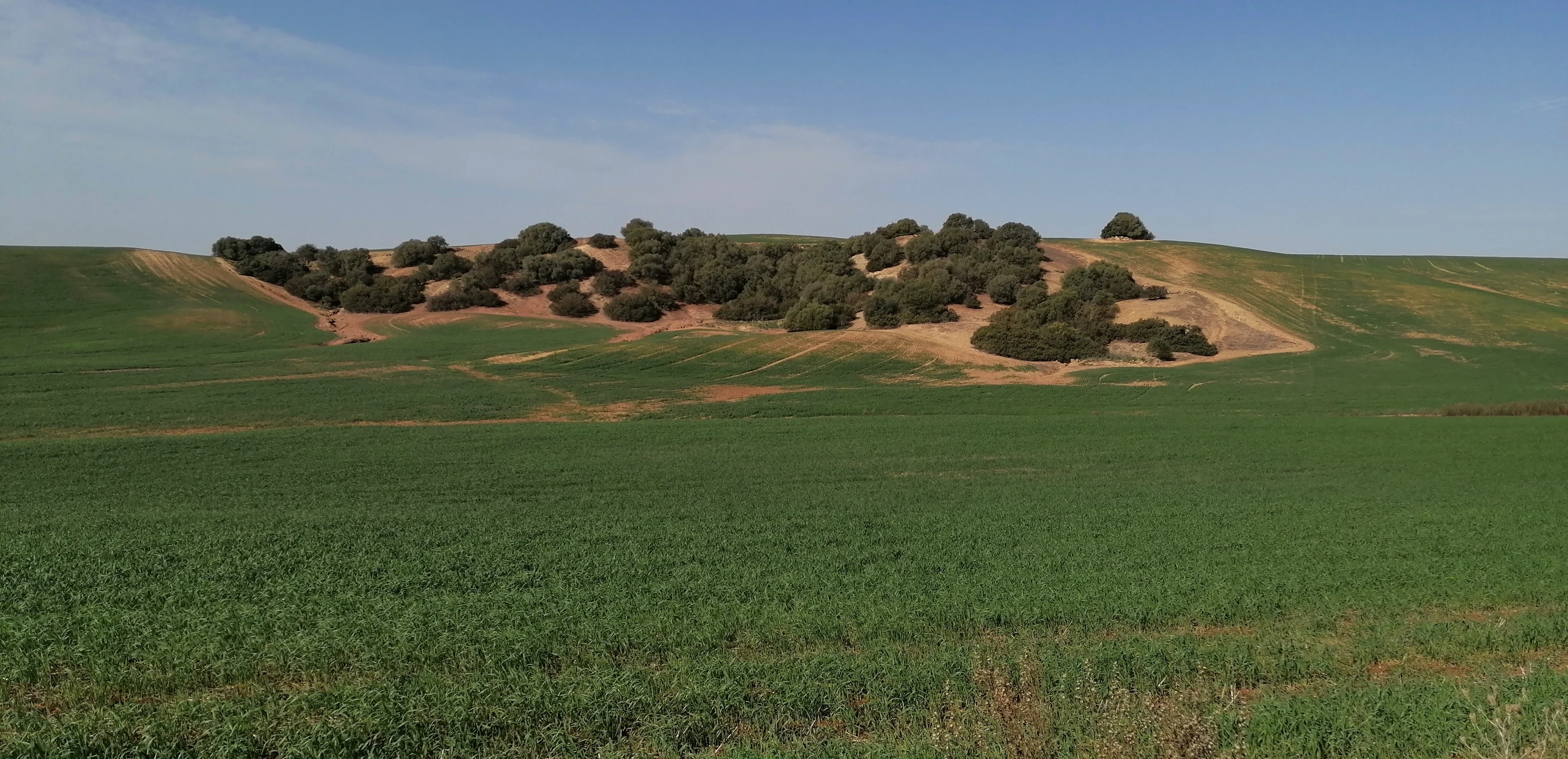 Natural vegetation on eroded areas that cannot be cultivated