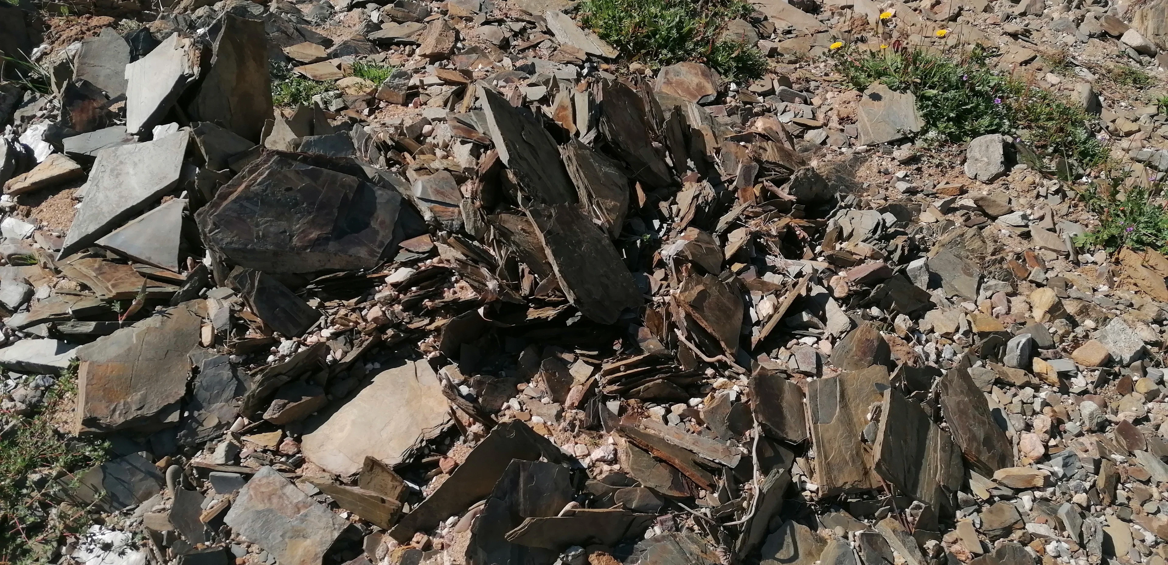 Weathering of sheet shale
