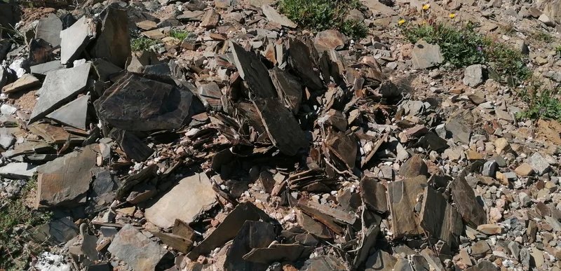 Weathering of sheet shale