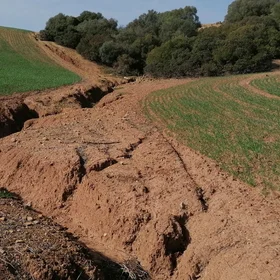 Gully crossing a cropped field in southern Spain