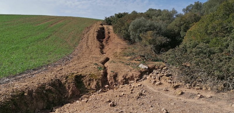 Head of a gully in a cultivated area in southern Spain