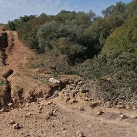 Head of a gully in a cultivated area in southern Spain