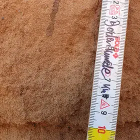 Filled Biopore below the plow horizon