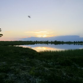 Thermokarst lake at Khanymey Research Station, Western Siberia
