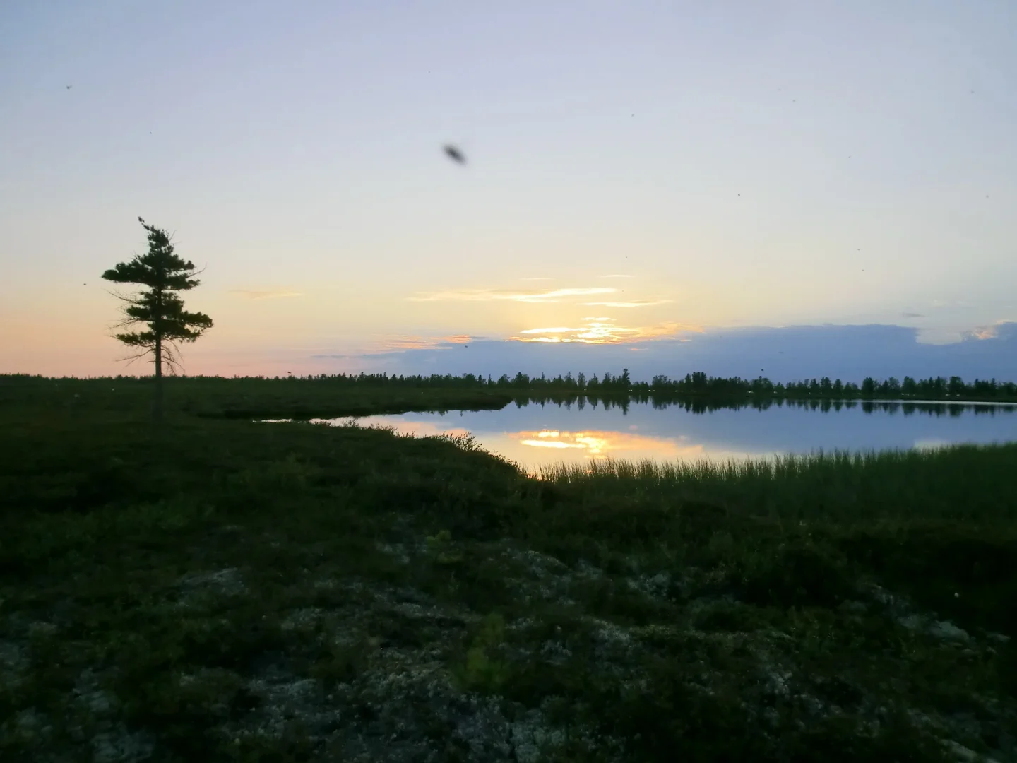 Thermokarst lake at Khanymey Research Station, Western Siberia