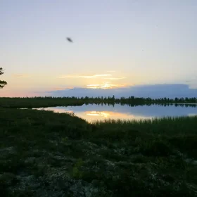 Thermokarst lake at Khanymey Research Station, Western Siberia