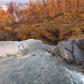 Automnal cascade near Abisko