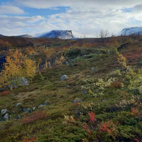 Miellajokka river in Autumn