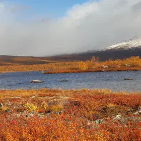 Lake in the lowlands of Stordalen catchment