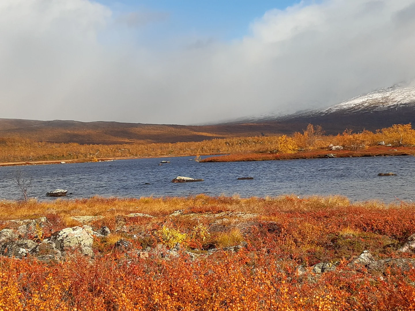 Lake in the lowlands of Stordalen catchment