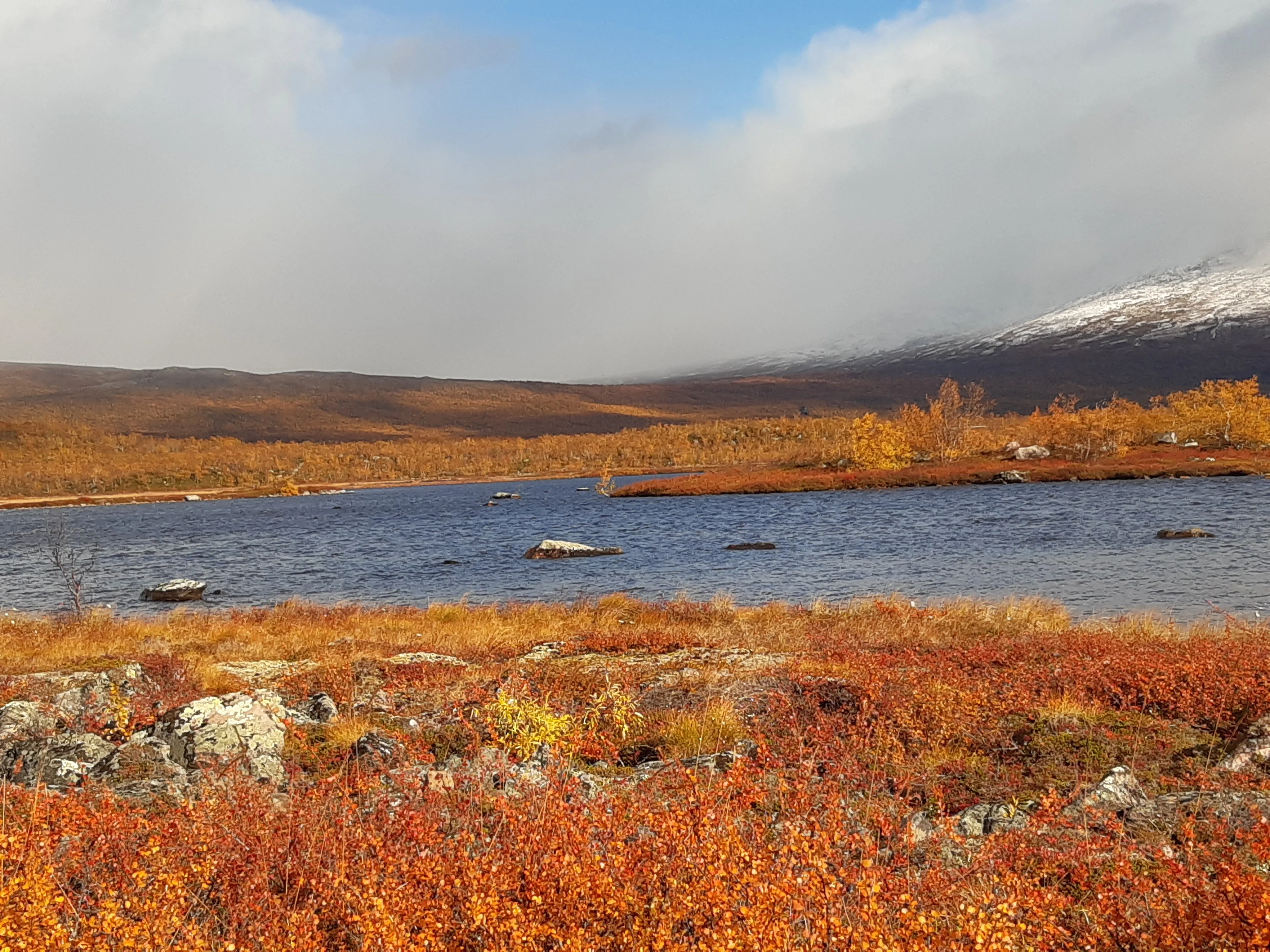 Lake in the lowlands of Stordalen catchment