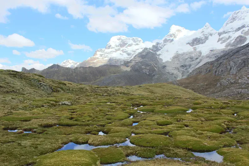 Wetlands in  mountainous region Peru