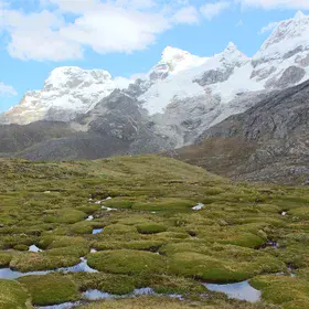 Wetlands in  mountainous region Peru