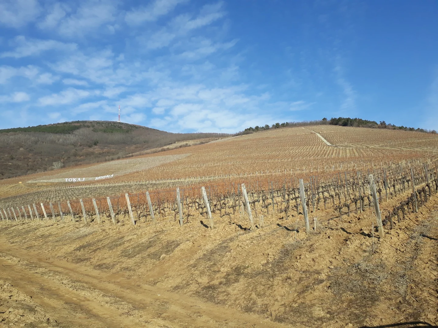Tokaj Nagy Hill, Hungary