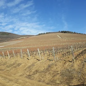 Tokaj Nagy Hill, Hungary