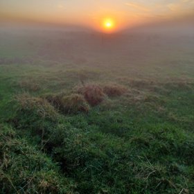 Sunset over foggy peatland