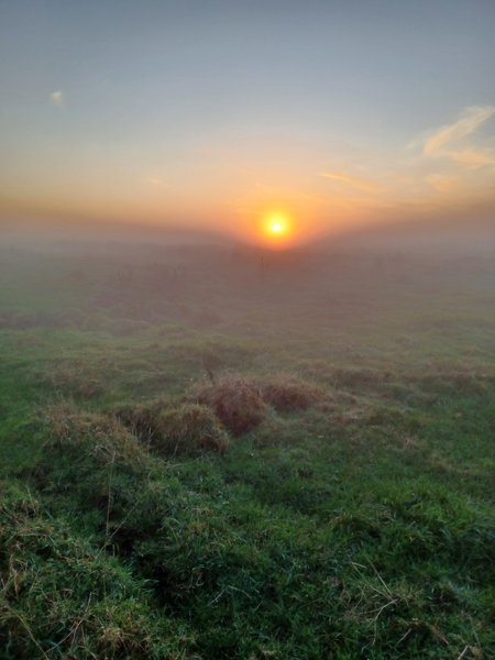 Sunset over foggy peatland