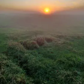 Sunset over foggy peatland