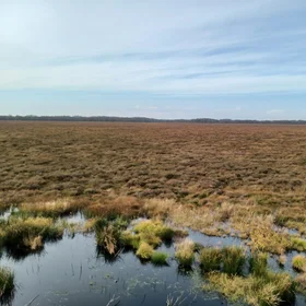 Image of a Danish (Store Vildmose) peat bog
