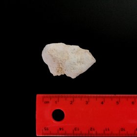 Carbonate concretion from a semiarid soil (Calcic Luvisol) near Seville