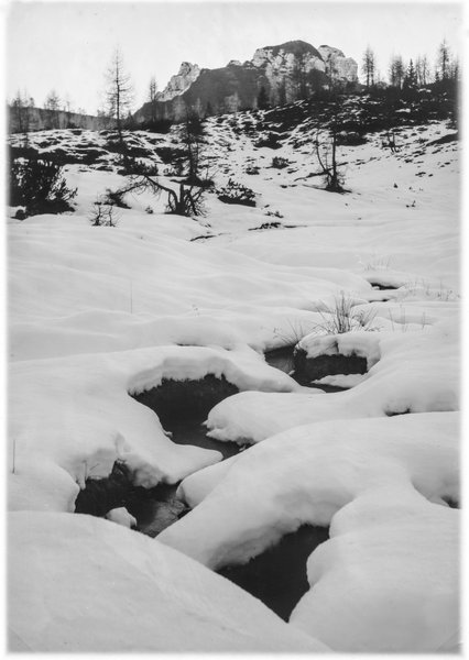 Snowy creek in the Eastern Dolomites shot with a 100 years old wooden bellow camera.