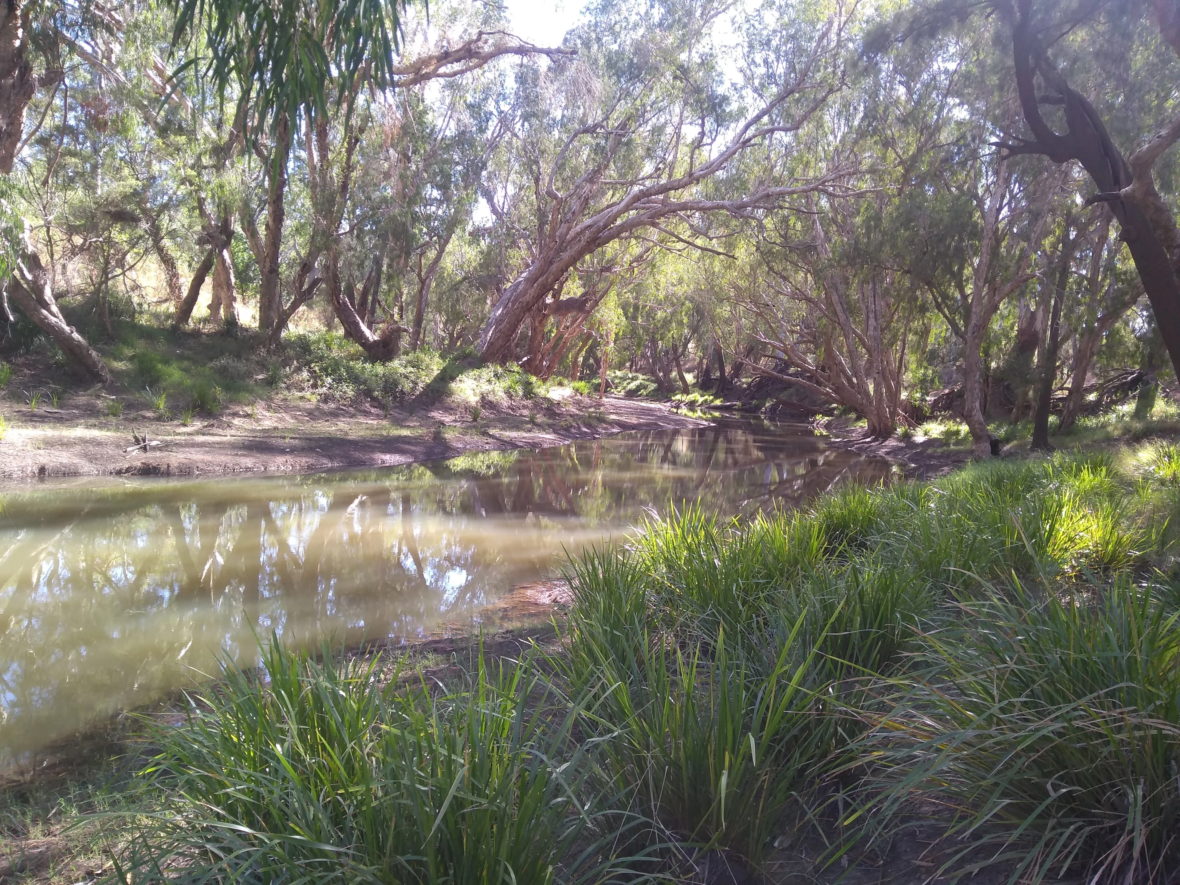 Isaac river discharging sediment from upstream to downstream catchment