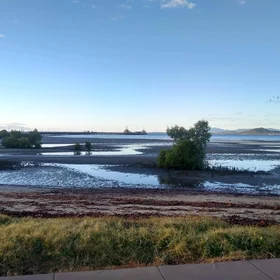 Accelerated hillslope erosion creates threat to coastal ecosystem
