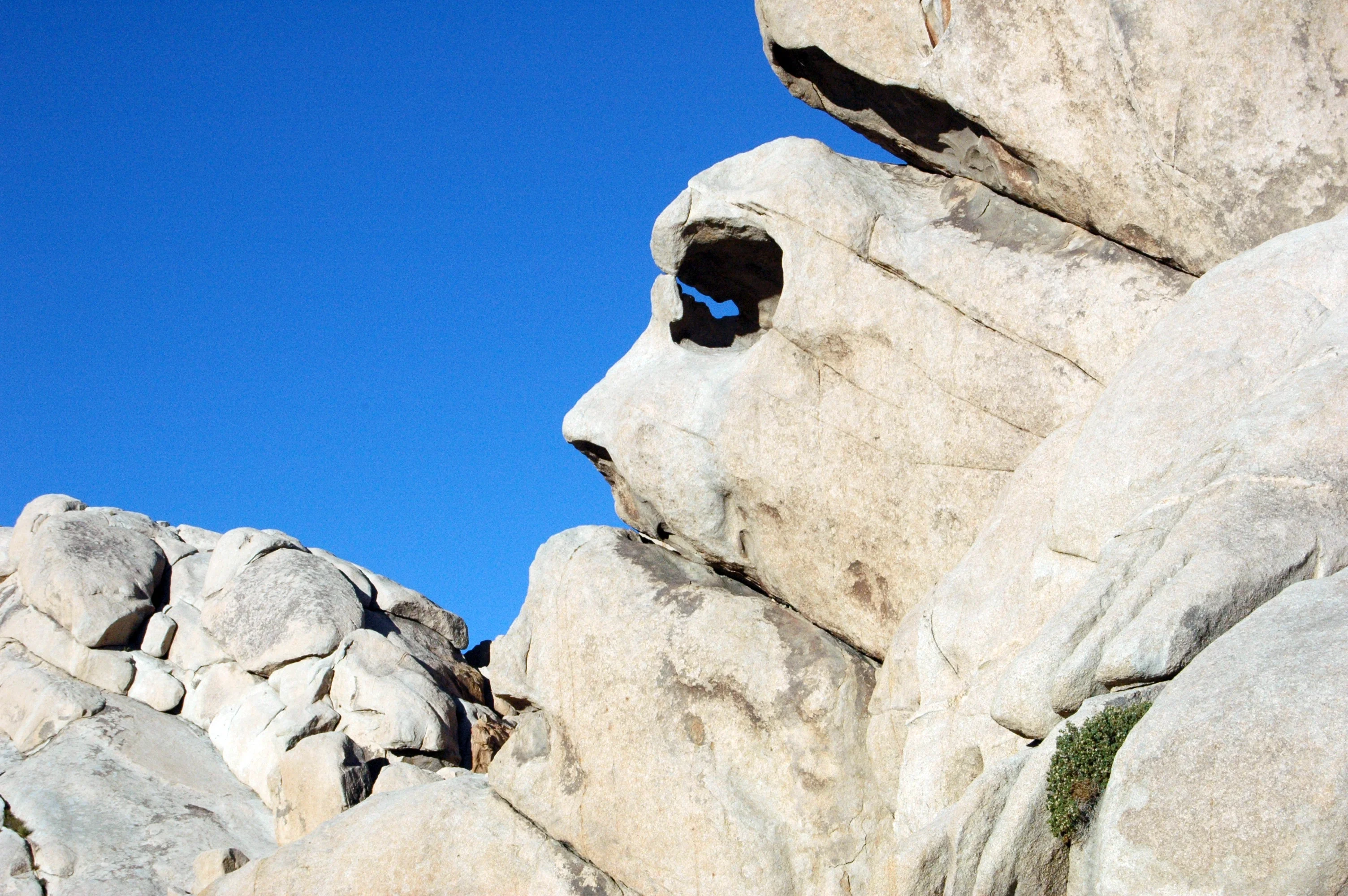 Rocks with a profile